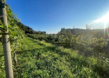 Altro - Rustico via Val Roveto, Trescore Balneario - foto 14