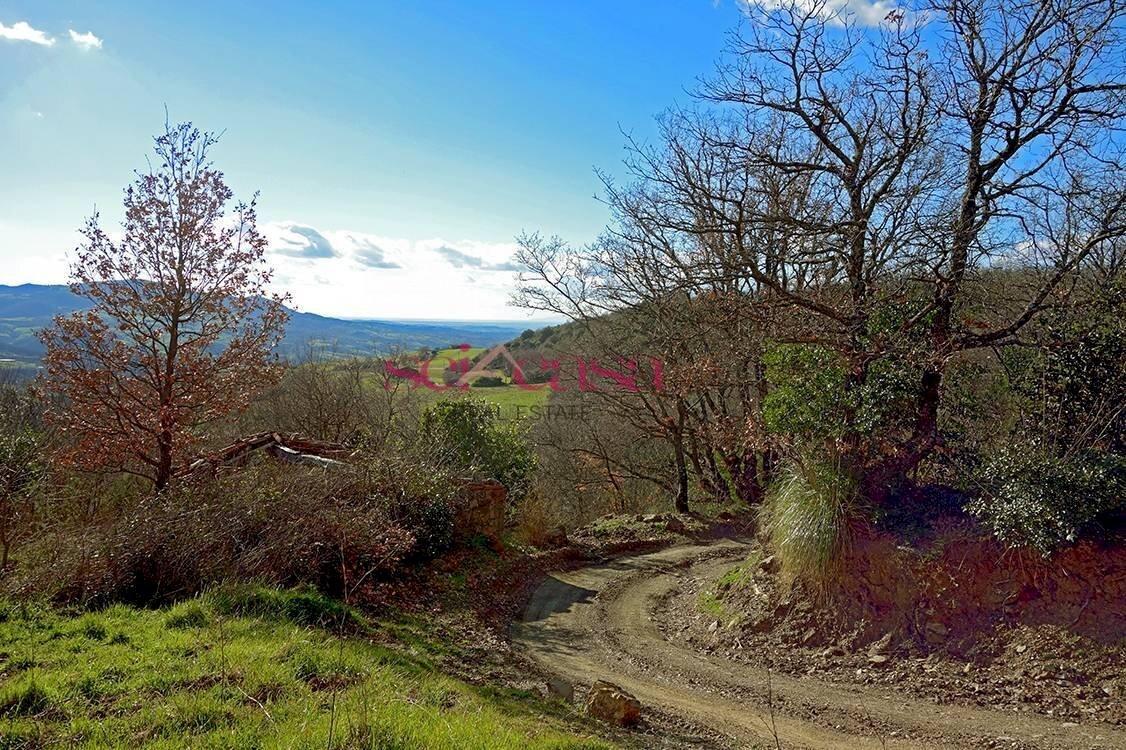 Rustico Roccalbegna - foto 3