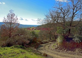 Rustico Roccalbegna - foto 3