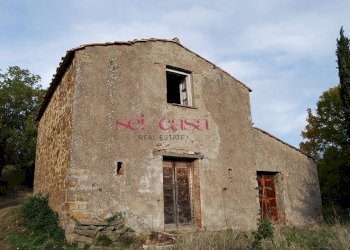 Rustico Roccalbegna - foto 4