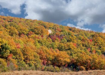 Rustico Roccalbegna - foto 8