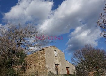 Rustico Roccalbegna - foto 9