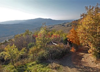 Rustico Roccalbegna - foto 10