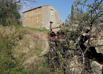 Rustico Roccalbegna - foto 11