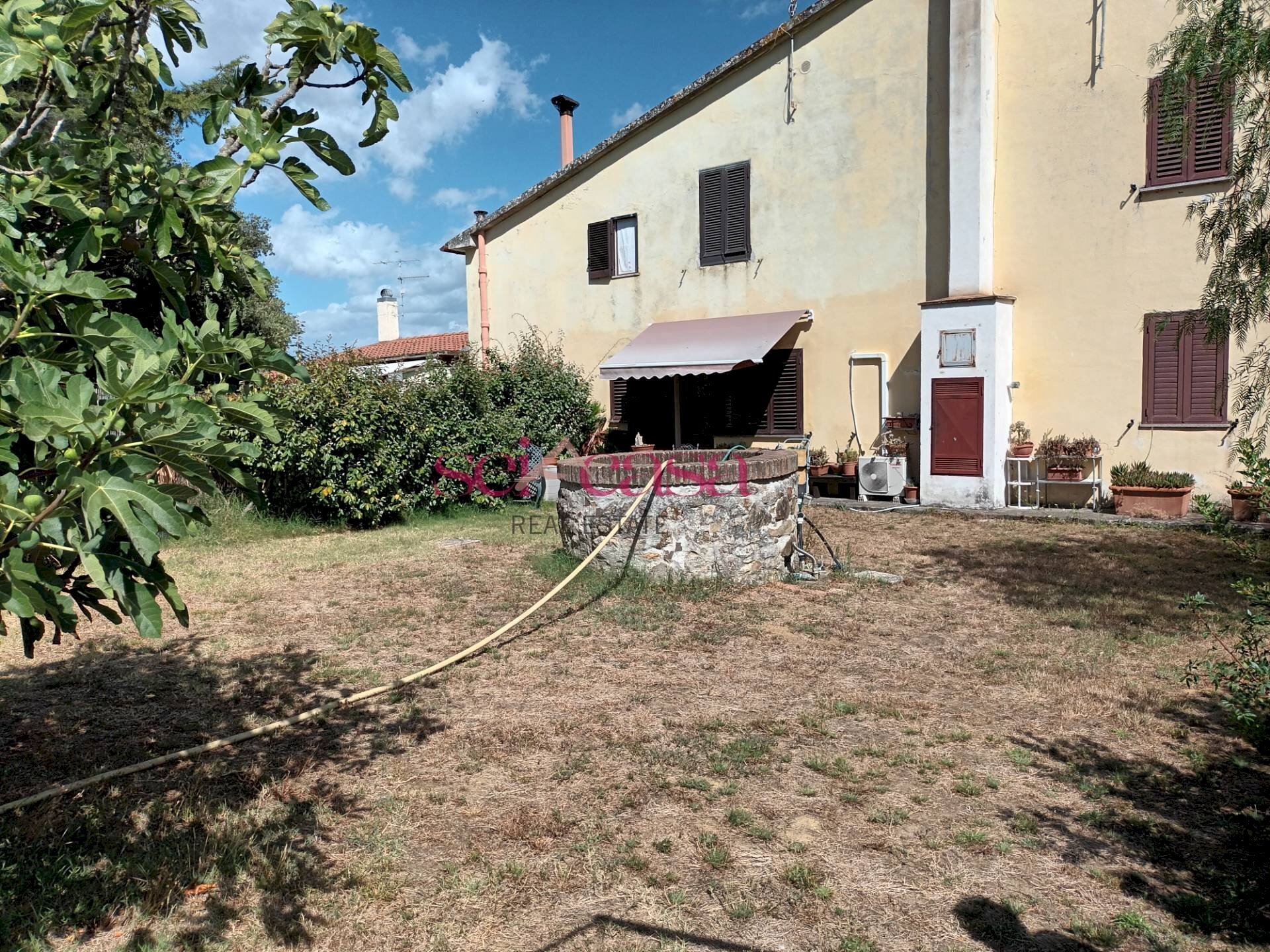 Villa Bifamiliare Castiglione della Pescaia - foto 3