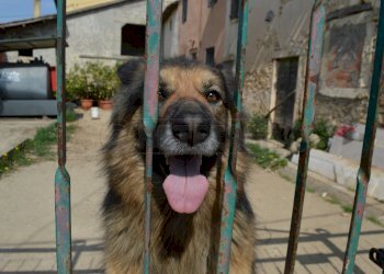Rustico Via Ghenzovia ghenzo 6, Val Liona - foto 6