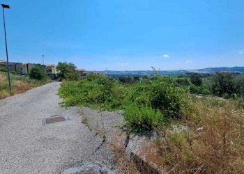 IMG-20230804-WA0006.jpg - Terreno edificabile Pesaro - foto 2