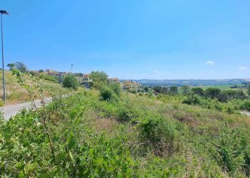 IMG-20230804-WA0009.jpg - Terreno edificabile Pesaro - foto 4