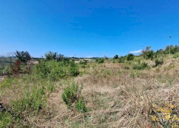 IMG-20230804-WA0014.jpg - Terreno edificabile Pesaro - foto 8