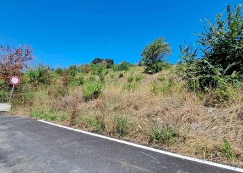 IMG-20230804-WA0015.jpg - Terreno edificabile Pesaro - foto 9