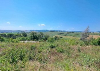 IMG-20230804-WA0016.jpg - Terreno edificabile Pesaro - foto 10