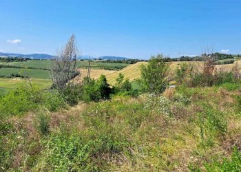 IMG-20230804-WA0018.jpg - Terreno edificabile Pesaro - foto 12