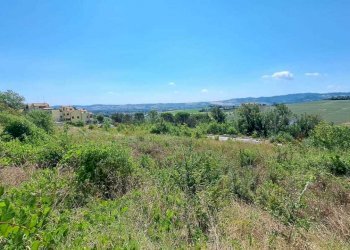 IMG-20230804-WA0019.jpg - Terreno edificabile Pesaro - foto 13