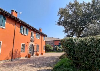 Terreno agricolo San Felice sul Panaro - foto 9