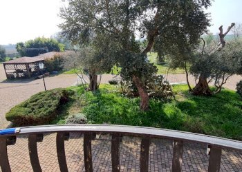 Terreno agricolo San Felice sul Panaro - foto 25