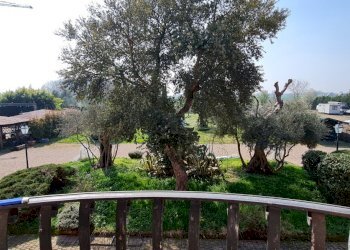 Terreno agricolo San Felice sul Panaro - foto 26