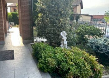 Giardino - Villa via Don Antonio Zappino, Carmagnola - photo 6