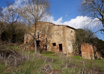 Rustic Montepulciano - photo 3