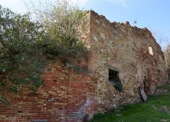 Rustic Montepulciano - photo 6