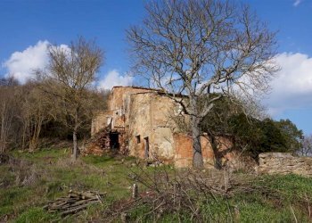 Rustic Montepulciano - photo 9