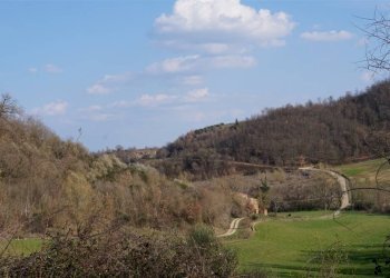 Rustic Montepulciano - photo 11