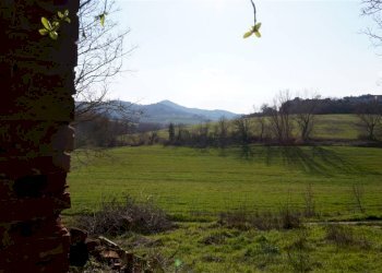 Rustic Montepulciano - photo 12