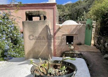 imm_5465-880--20230207175107-.jpg - Casale Pantelleria - foto 18