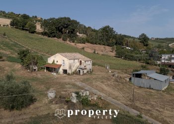 Rustic Offida - photo 4