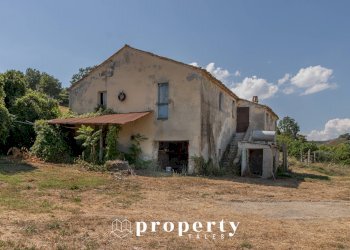 Rustic Offida - photo 8