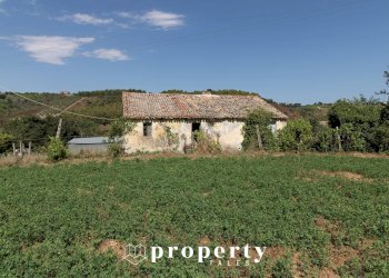 Rustic Offida - photo 15