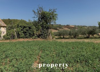 Rustic Offida - photo 16