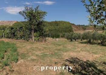 Rustic Offida - photo 17