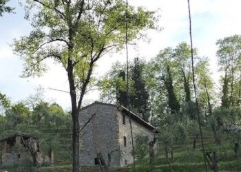 Rustico via dei venti, Massarosa - foto 7