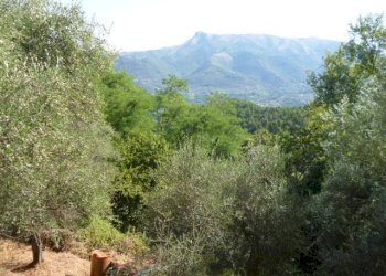 Rustico via dei venti, Massarosa - foto 19