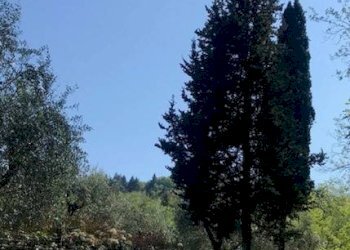 Rustico via dei venti, Massarosa - foto 20