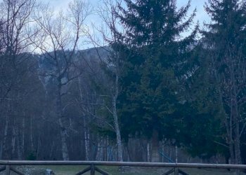 Zona - Bilocale strada Provinciale del Melezet, Bardonecchia - foto 2