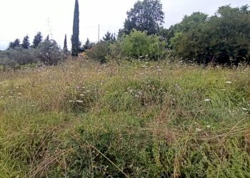 IMG_20230804_155354.jpg - Casa semi indipendente Fivizzano - foto 21