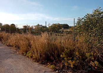 Terreno edificabile Siracusa - foto 1