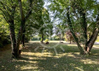 Villa Fusignano - photo 6