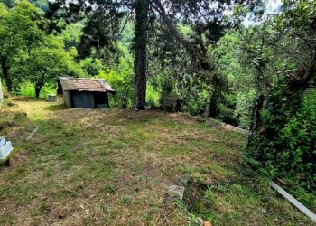 esterno 7 - Appartamento Via Campi 7, Serra Riccò - foto 6