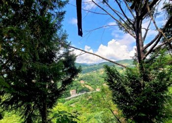 esterno 13 - Appartamento Via Campi 7, Serra Riccò - foto 11