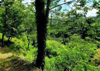 esterno - Appartamento Via Campi 7, Serra Riccò - foto 17