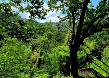 esterno 21 - Appartamento Via Campi 7, Serra Riccò - foto 18