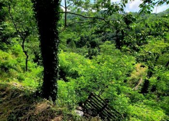 esterno 23 - Appartamento Via Campi 7, Serra Riccò - foto 20