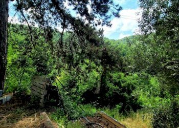 esterno 24 - Appartamento Via Campi 7, Serra Riccò - foto 21