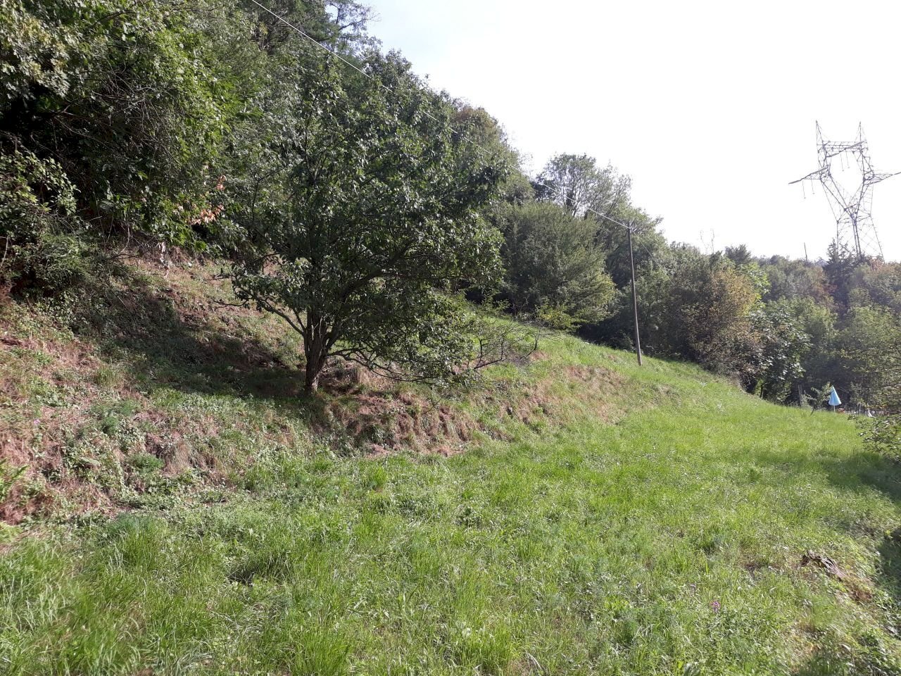 terreno - Building land Serra Riccò - photo 2