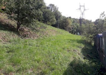 terreno - Terreno edificabile Serra Riccò - foto 1