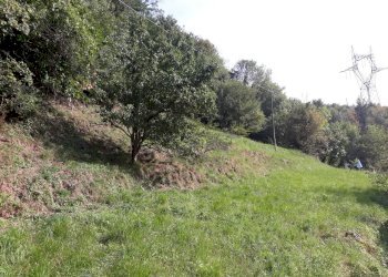 terreno - Terreno edificabile Serra Riccò - foto 2