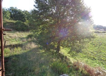 giardino - Villa Campomorone - foto 7