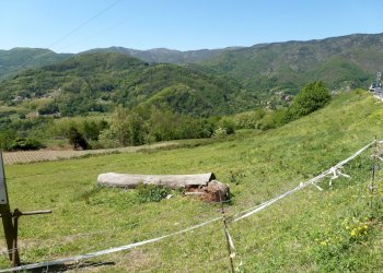 giardino - Villa Campomorone - foto 9